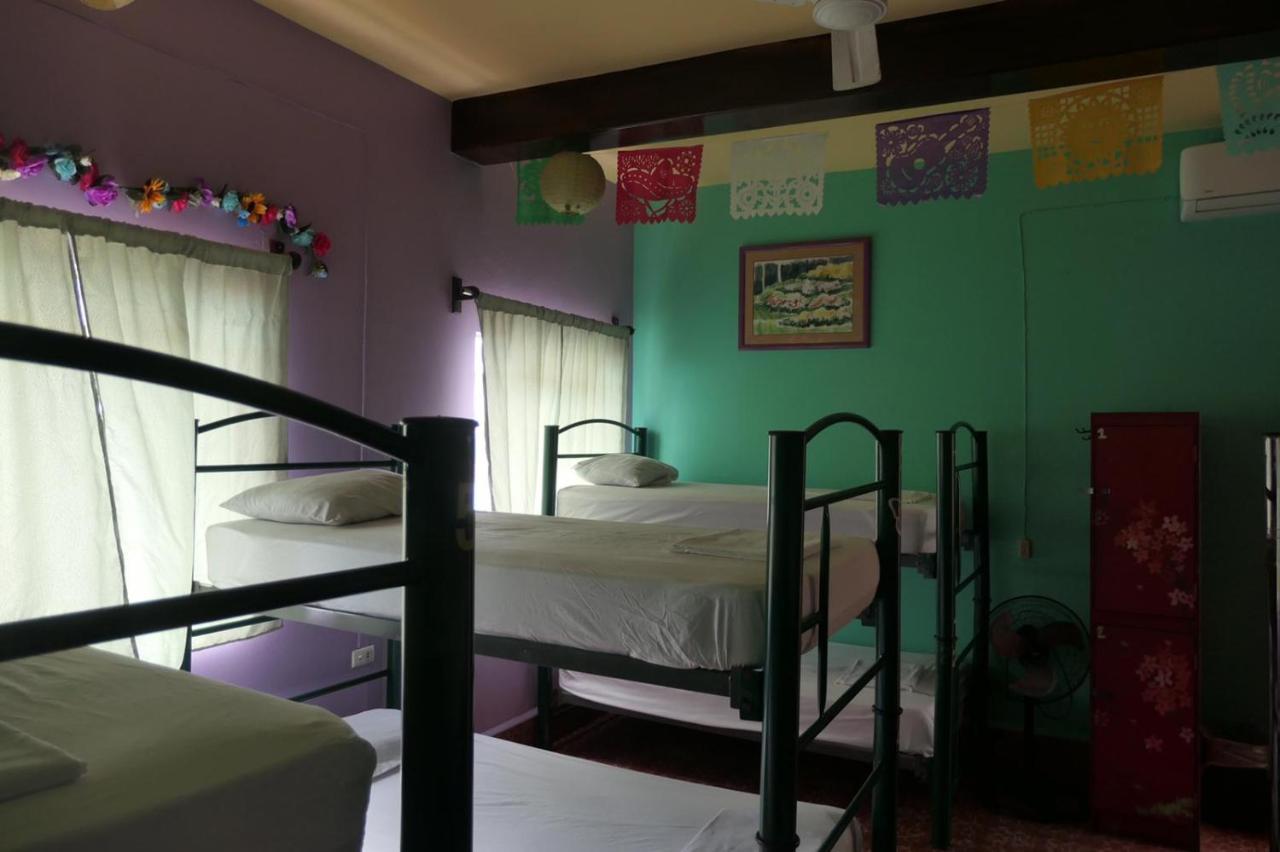 Casa Kraken Hostel Puerto Vallarta Exterior photo