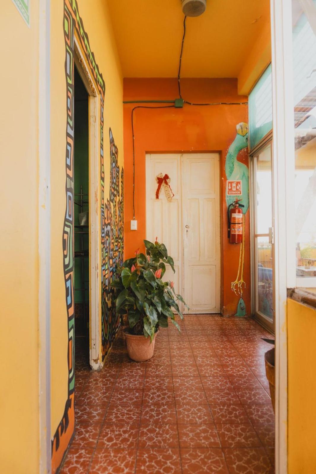 Casa Kraken Hostel Puerto Vallarta Exterior photo